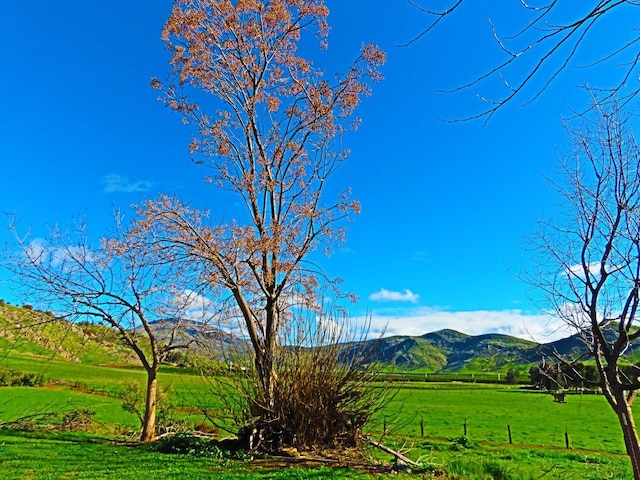 3363 S Anchor Ave, Orange Cove, CA 93646 - mountain view with a rural view
