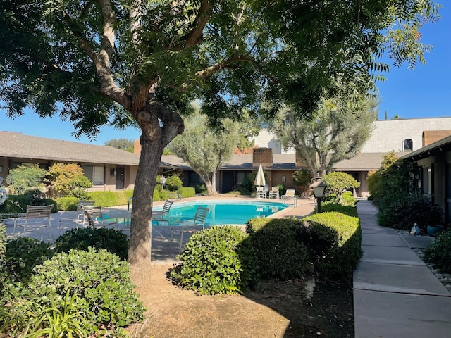 view of swimming pool featuring a patio