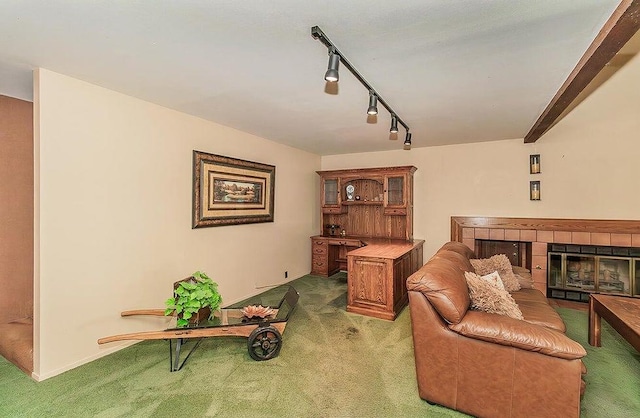 living area with a tiled fireplace, carpet, and track lighting