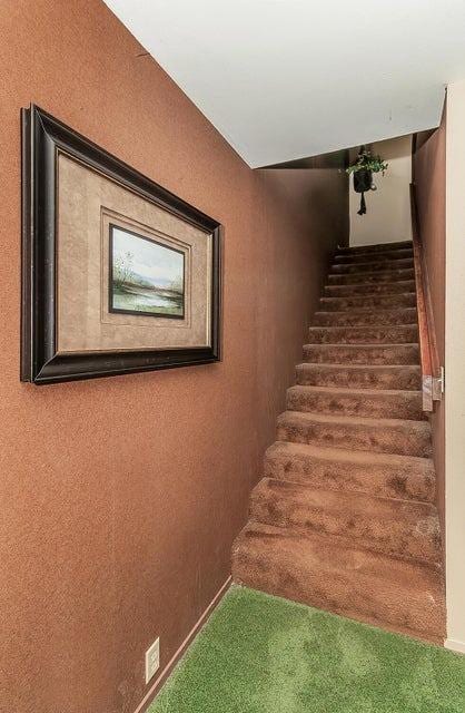 stairway featuring carpet