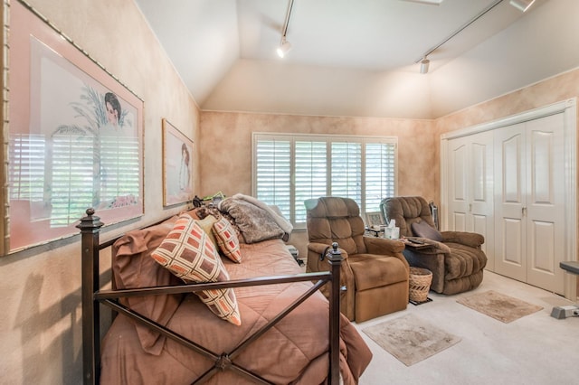 living room featuring track lighting, lofted ceiling, and carpet floors