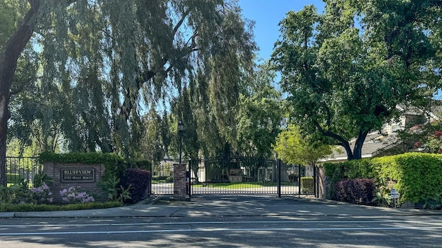 view of road featuring a gated entry, curbs, and a gate
