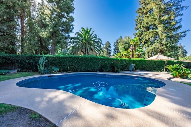 view of pool with a patio area