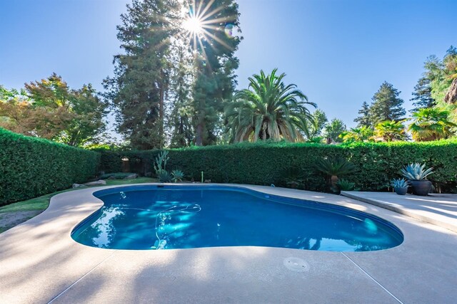 view of swimming pool featuring a fenced backyard and a fenced in pool
