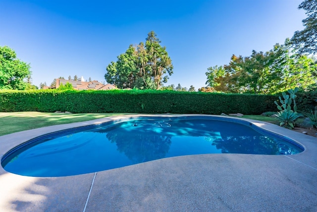 view of swimming pool