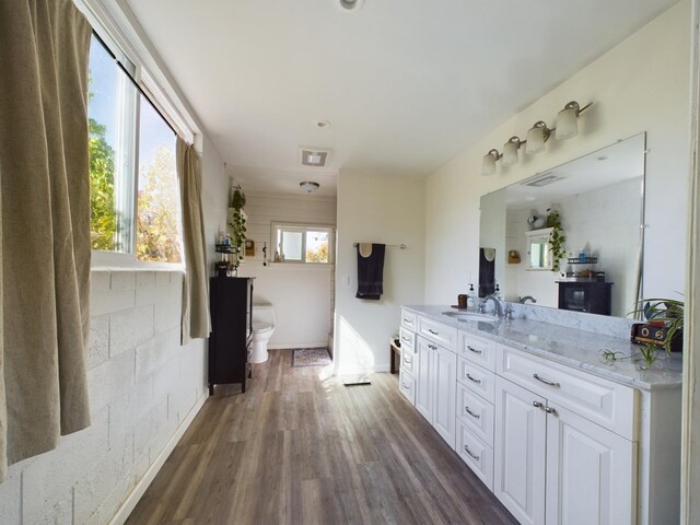 bathroom with wood-type flooring, vanity, toilet, and a wealth of natural light