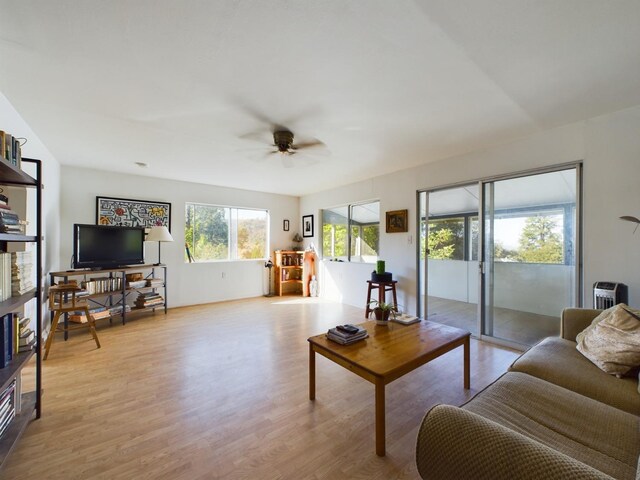 living room with light wood-type flooring and ceiling fan