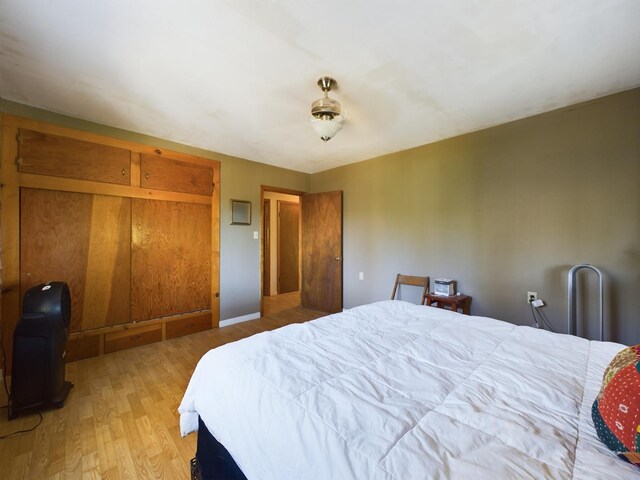 bedroom featuring ceiling fan and light hardwood / wood-style flooring