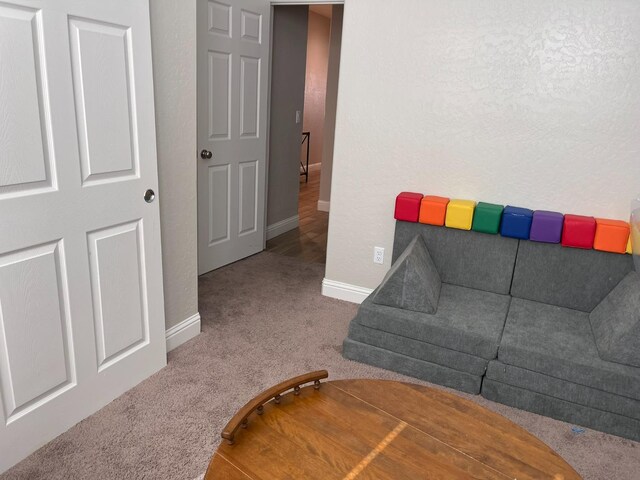 living room with carpet floors