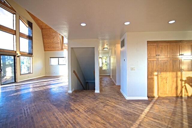 spare room featuring a wealth of natural light and dark hardwood / wood-style floors