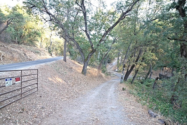 view of road