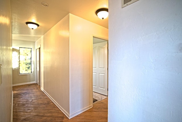 corridor with wood-type flooring