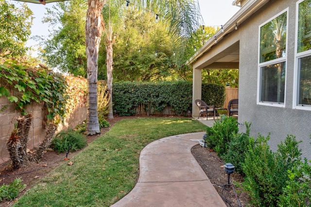 view of yard featuring a patio area