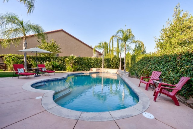 view of swimming pool featuring a patio