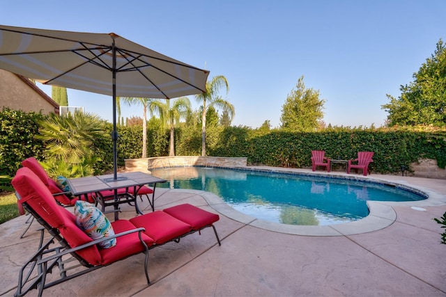 view of pool featuring a patio