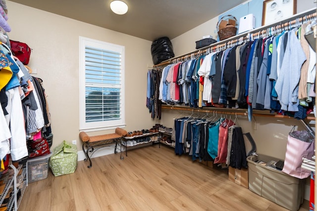 spacious closet featuring light wood-type flooring