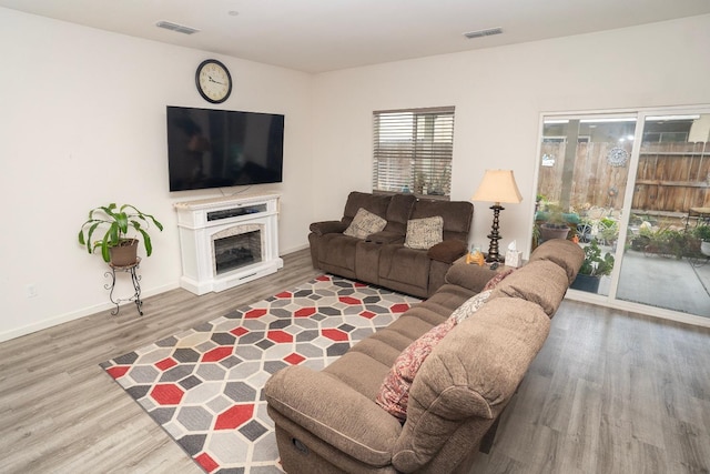 living room featuring wood-type flooring