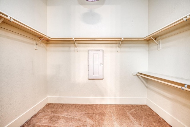 walk in closet featuring electric panel and light carpet