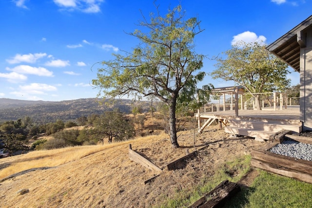 view of yard featuring a mountain view