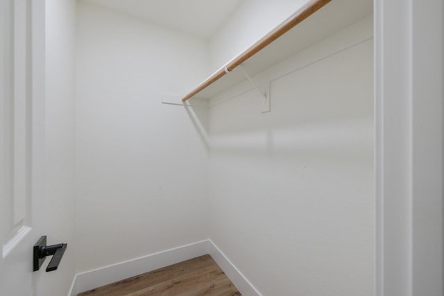 spacious closet featuring wood-type flooring