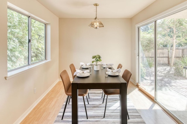 dining room with hardwood / wood-style floors