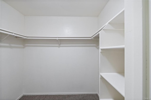 49400 River Park Rd Unit 17, Oakhurst, CA 93644 - walk in closet featuring carpet floors