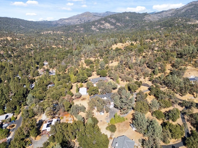 drone / aerial view featuring a mountain view