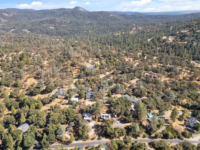 drone / aerial view featuring a mountain view