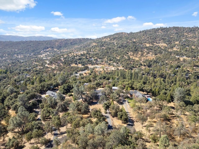 drone / aerial view with a mountain view