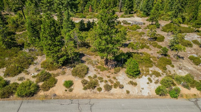 Listing photo 2 for 39 Fawn Lily Ln, Shaver Lake CA 93664