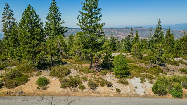 39 Fawn Lily Ln, Shaver Lake CA, 93664 land for sale