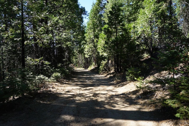 0 Providence Creek Rd, Shaver Lake CA, 93664 land for sale