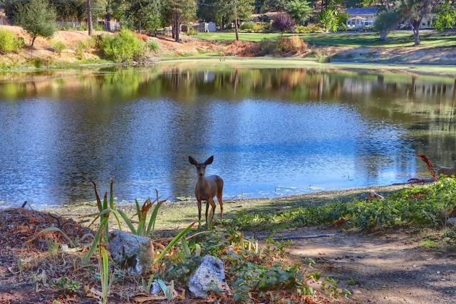 property view of water