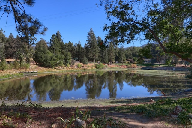 property view of water