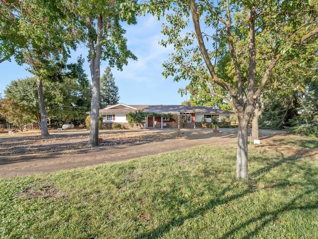 single story home featuring a front lawn
