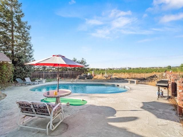 view of pool with a fenced backyard, area for grilling, a fenced in pool, and a patio area