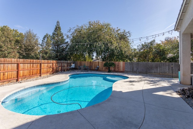 view of pool with a patio, a fenced backyard, and a fenced in pool