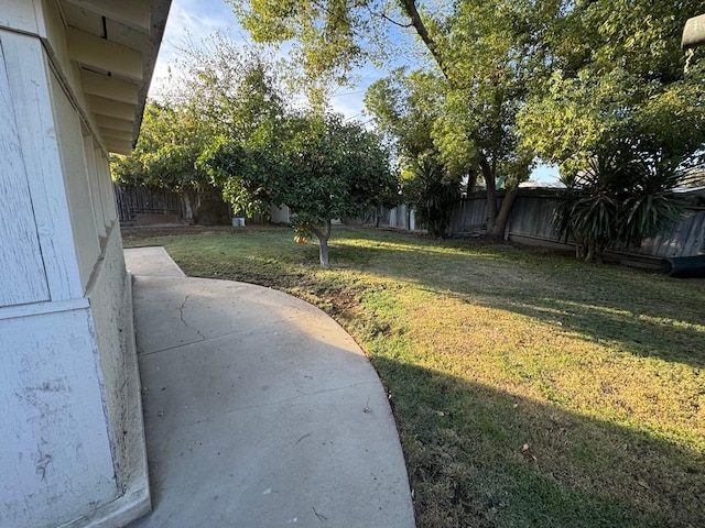 view of yard featuring a patio area