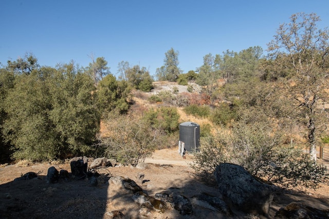 view of local wilderness