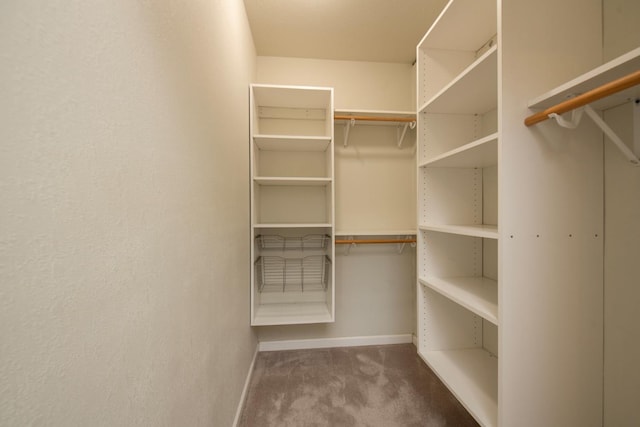 spacious closet featuring carpet