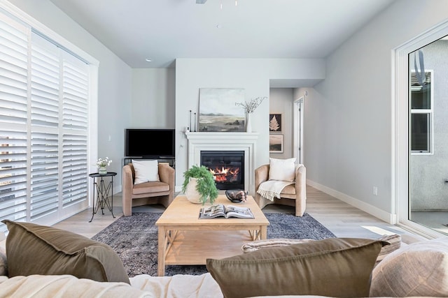 living room featuring light hardwood / wood-style floors