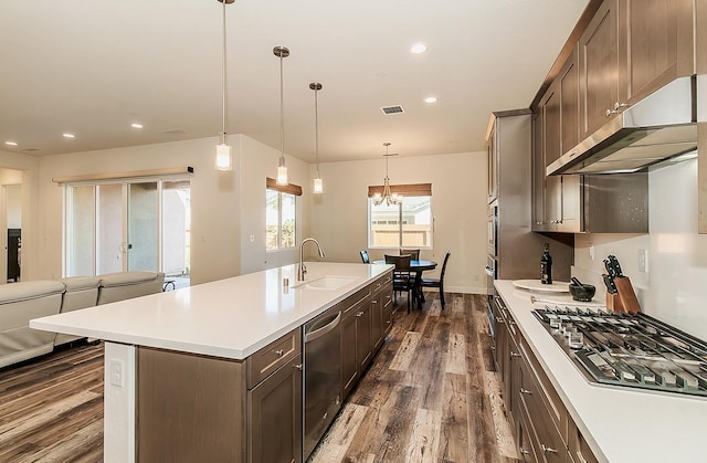 kitchen featuring dark brown cabinetry, stainless steel appliances, sink, and dark hardwood / wood-style flooring