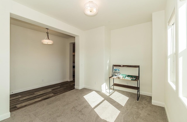 spare room with wood-type flooring