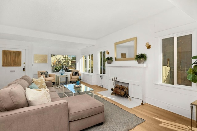 living room featuring wood-type flooring