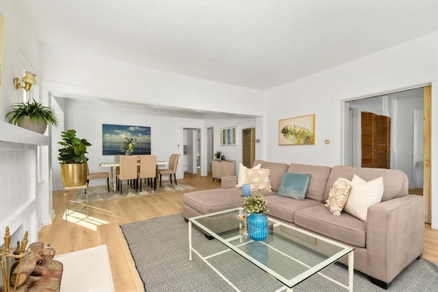 living room featuring light hardwood / wood-style flooring