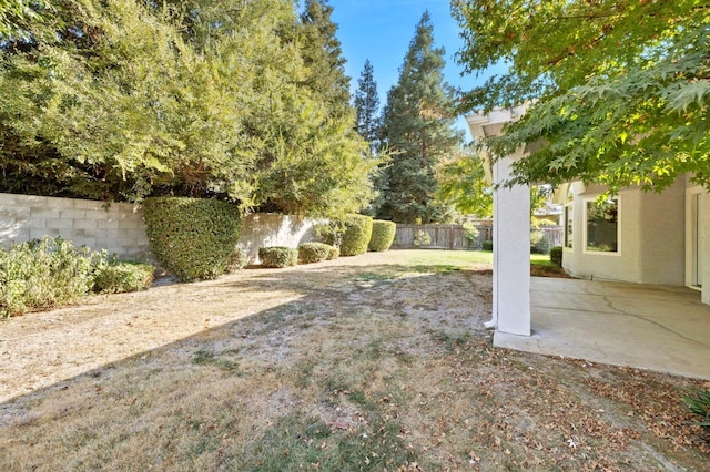 view of yard with a patio area