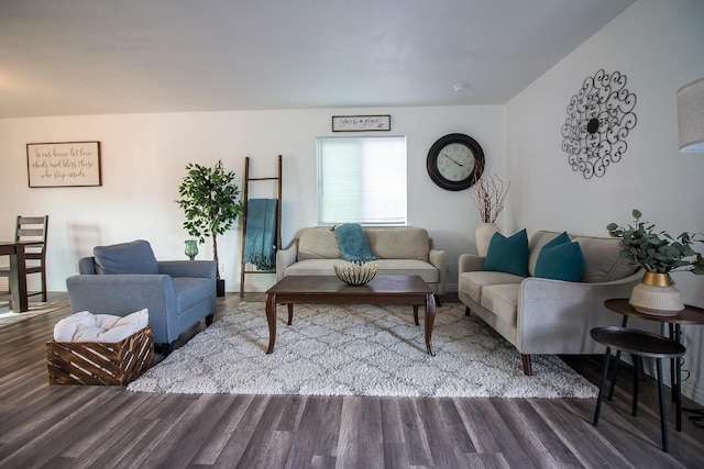 living room featuring wood-type flooring