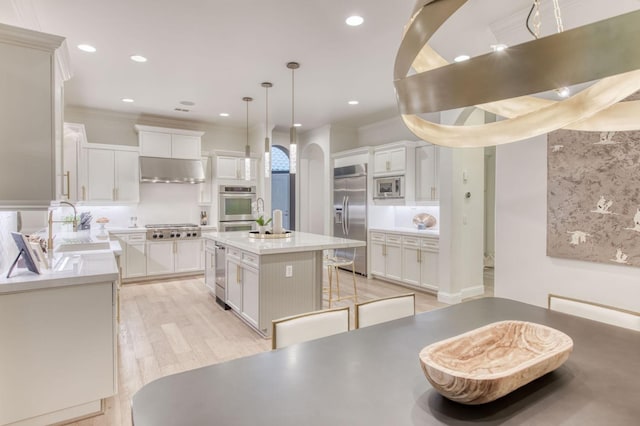 kitchen with a kitchen island, light wood-type flooring, built in appliances, sink, and ventilation hood