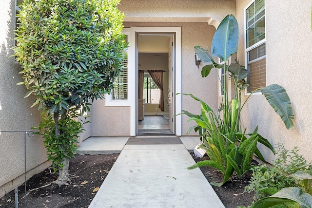 3313 Whiteash Ave, Clovis, CA 93619 - doorway to property featuring stucco siding