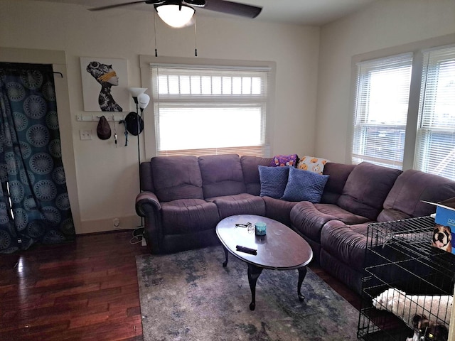 living room with ceiling fan and dark hardwood / wood-style flooring